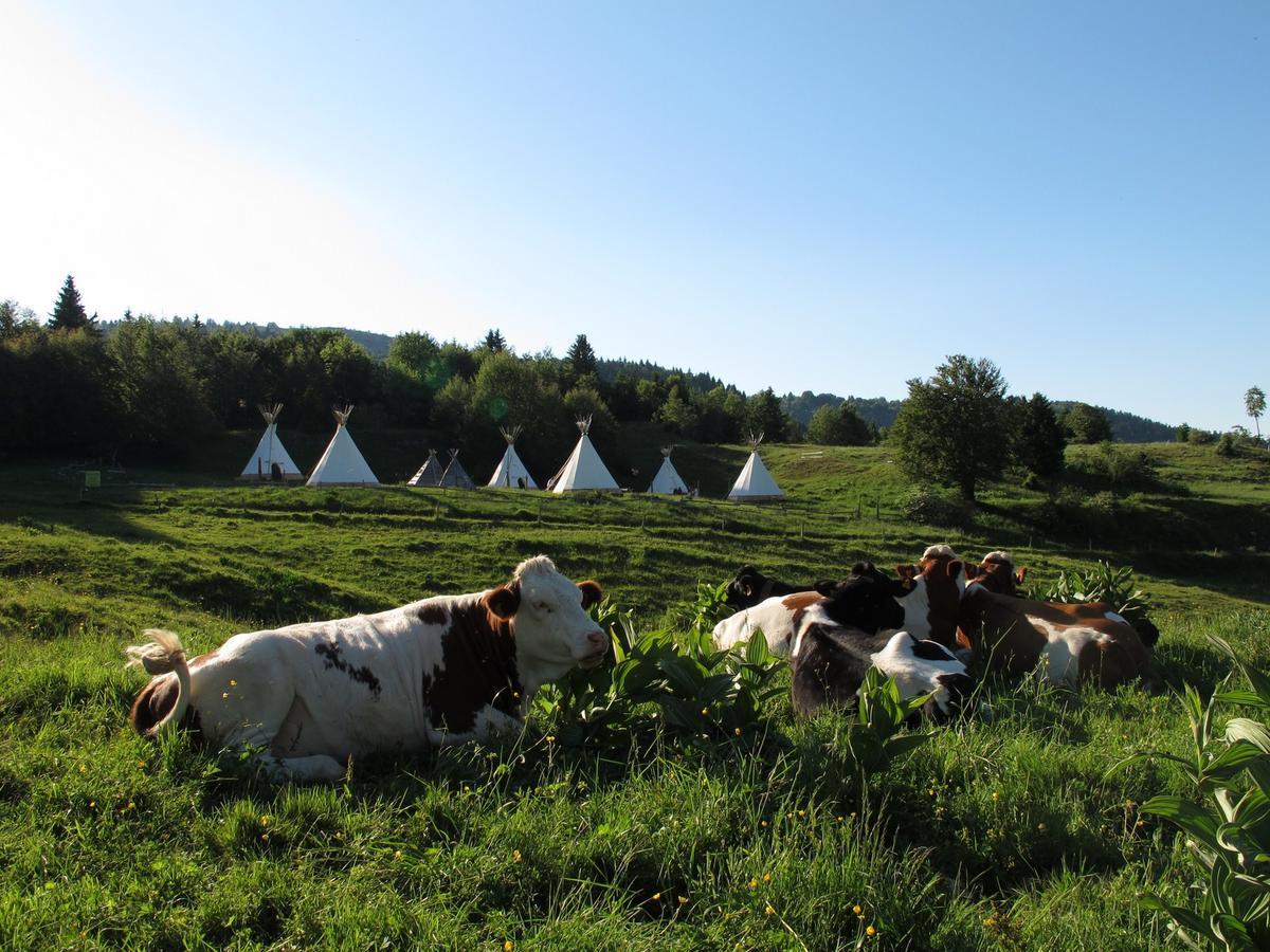 La Féclaz Village Tipi المظهر الخارجي الصورة
